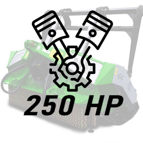 250